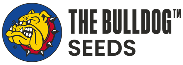The Bulldog Seeds