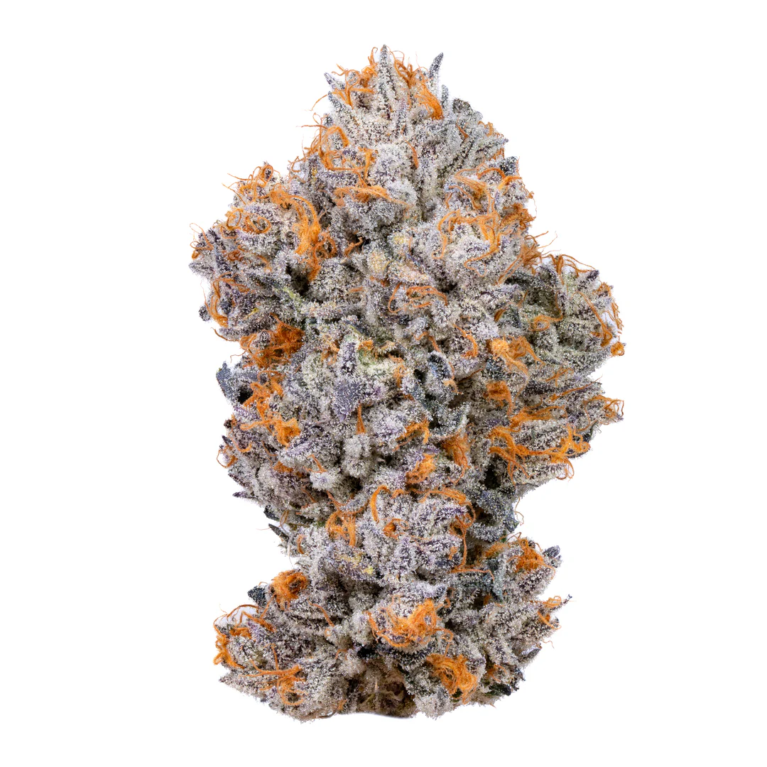 Biscotti cannabis strain by The Bulldog Seeds