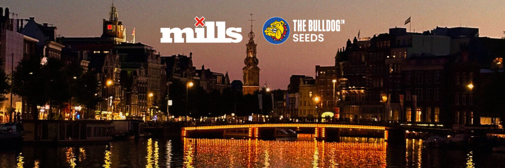 Nighttime banner image of Amsterdam’s canals with Mills Nutrients and The Bulldog Seeds logos centered above the illuminated Magere Brug (Skinny Bridge).