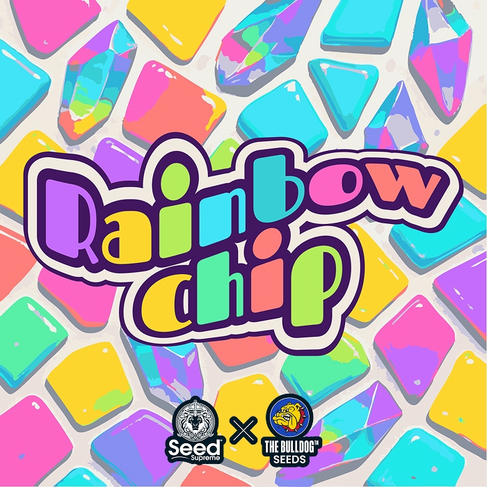The Bulldog Seeds x Seed Supreme: Rainbow Chip strain branding artwork featuring colourful gem-like candy tiles and bold bubble text, co-branded with Seed Supreme and The Bulldog Seeds logos.